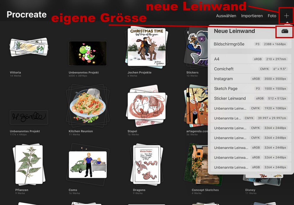 Beim Pluszeichen erstellst du eine neue Leinwand. Klicke wiederum auf das Plus ganz oben in der Liste und du definierst eine eigene Vorlage.