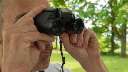 Practical everyday size: The Nikon 12x25 S is a good all-rounder.