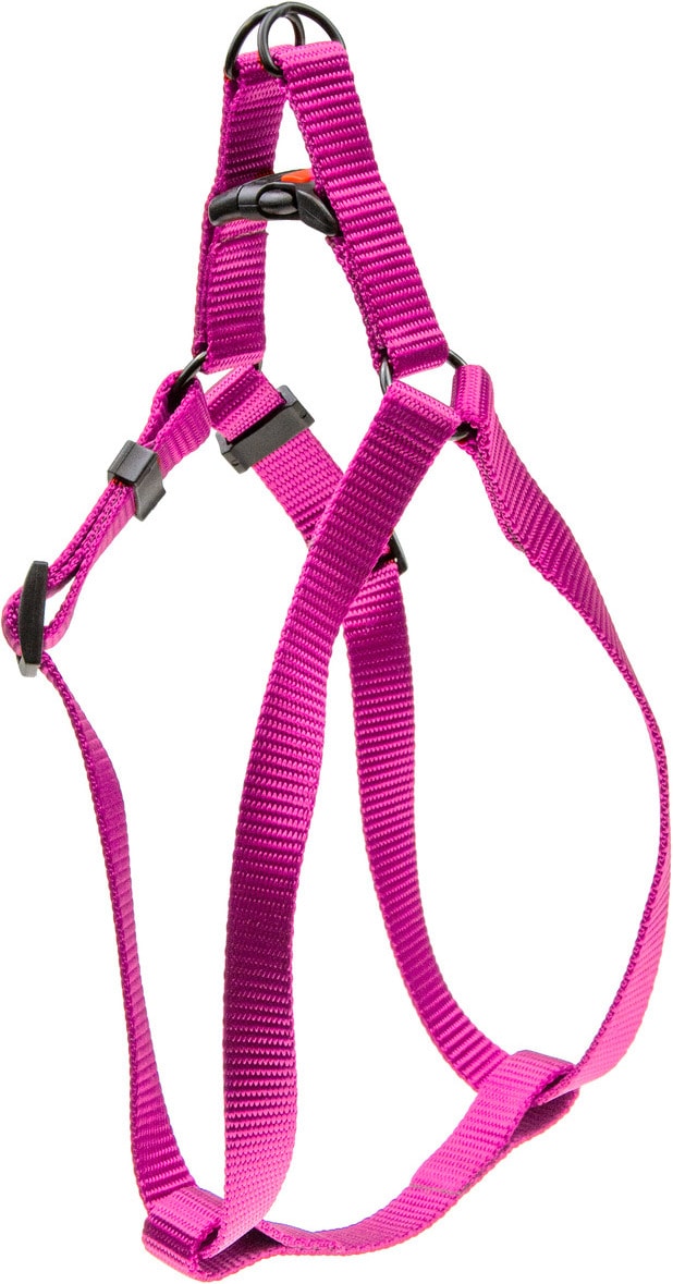 Karlie Geschirr -2-3 Step and Go neue universal Farben Mix and Match (S, Hund, Spazieren), Halsband + Leine