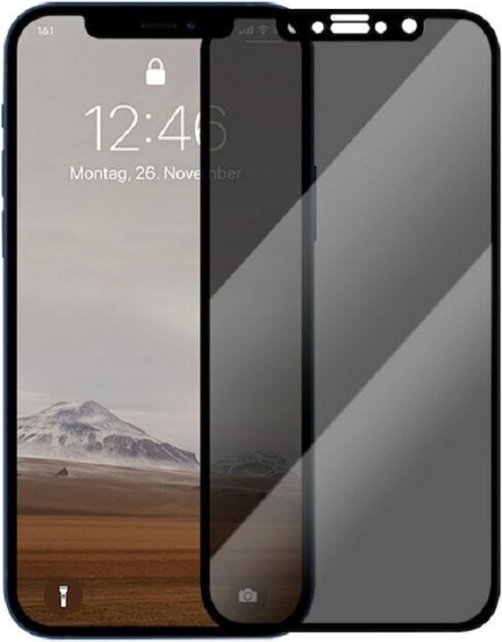 Woodcessories Premium Glass Privacy (1 Stück, iPhone 11, iPhone XR), Smartphone Schutzfolie