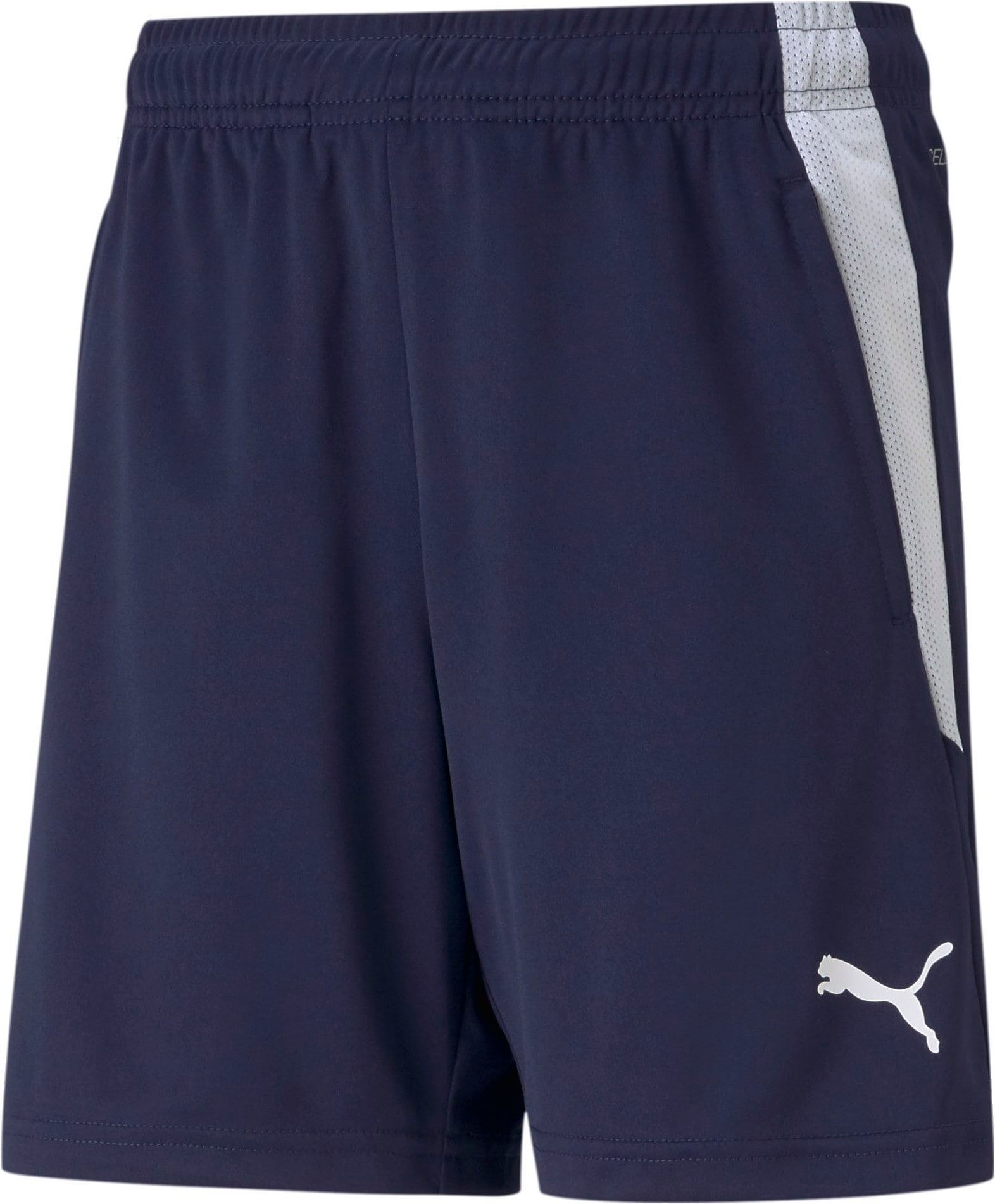 Puma, Unisex, Sporthose, teamLIGA Training Shorts Jr-657250 (140), Blau, 140