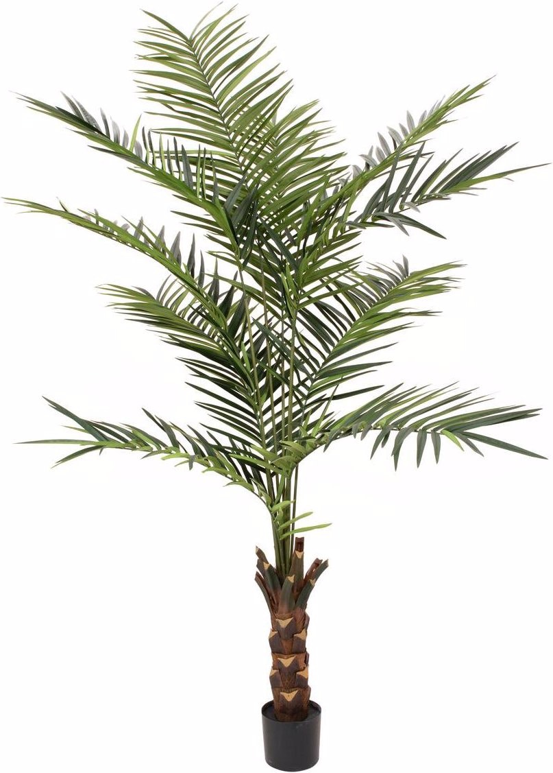 Europalms, Kunstpflanzen, Kentia Palme (240 cm)