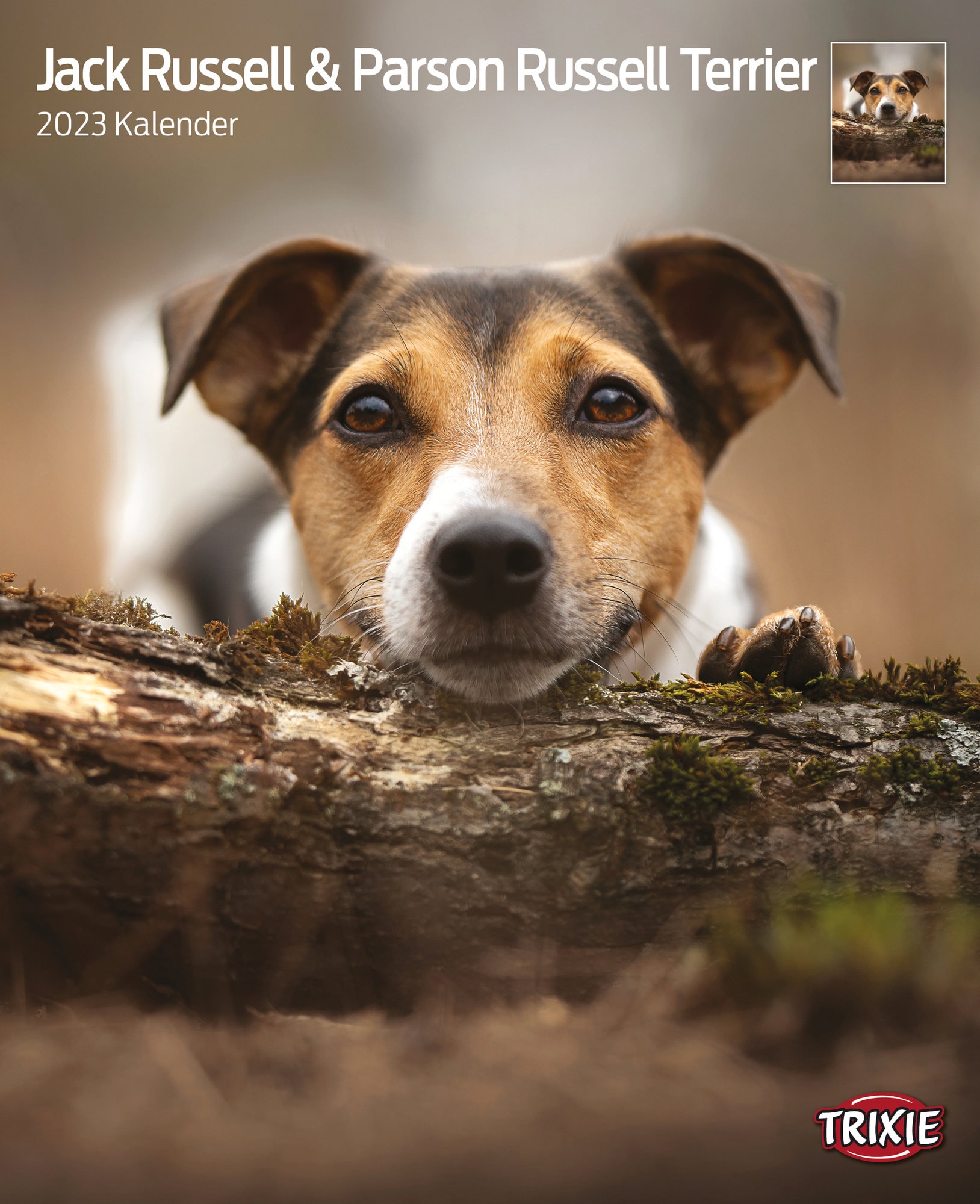 Trixie, Kalender, Kalender Jack Russell & Parson Russell Terrier