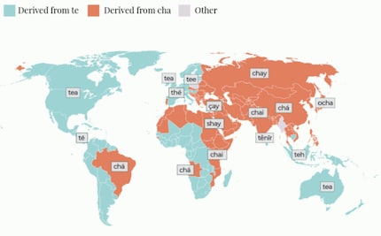 Che si chiami «chai» o «tè» in un paese dipende dalle rotte commerciali precedenti.