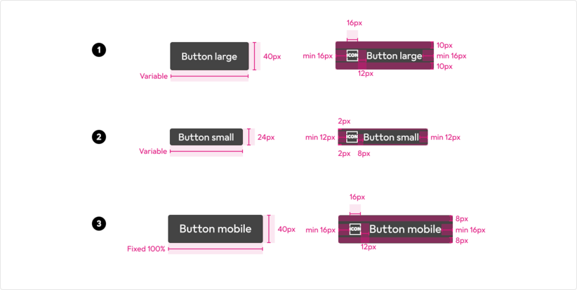 anatomy-button